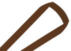 Brown lanyard