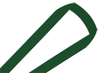 Dark Green lanyard