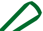 Green lanyard