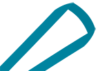 Teal lanyard